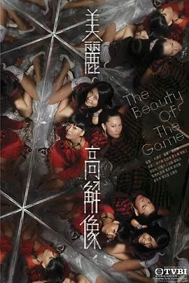 美丽高解像(国语)海报