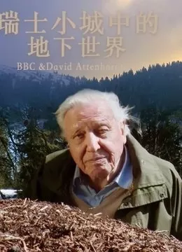 瑞士小城中的地下世界海报