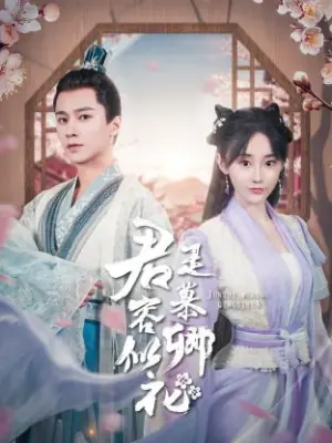 君是慕容卿似花海报