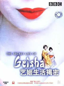 艺伎的真实生活海报