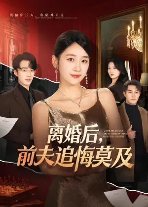 离婚后,前夫追悔莫及海报