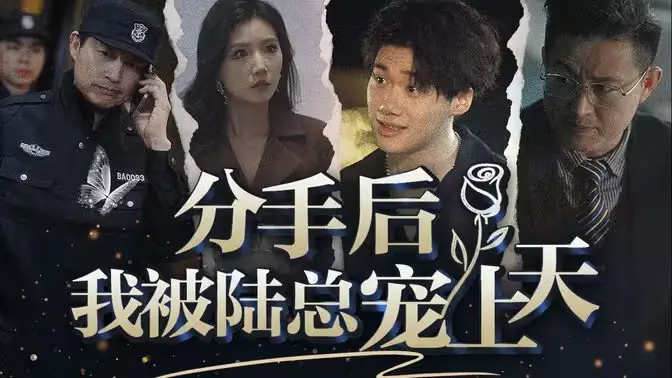 分手后,我被陆总宠上天海报