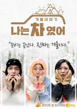 改造露营车-冬天的故事海报