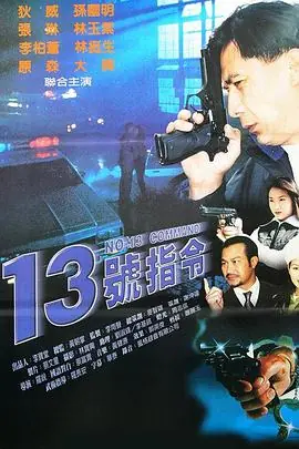 13指令13號指令海报
