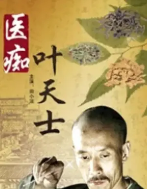 医痴叶天士海报