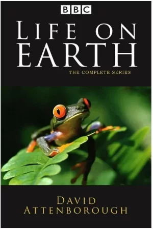 生命的进化海报