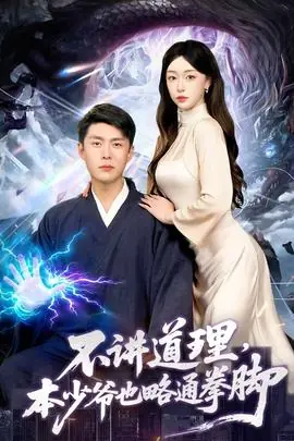 不讲道理,本少爷也略通拳脚海报