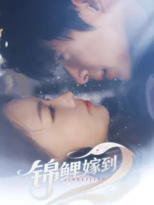 锦鲤嫁到海报