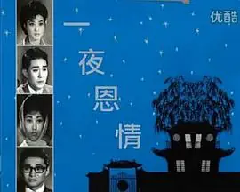 一夜恩情(粤语)海报
