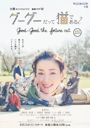 咕咕是一只猫2海报