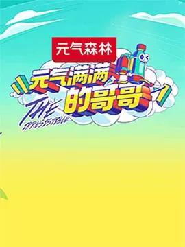 元气满满的哥哥海报