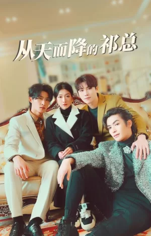 从天而降的祁总海报