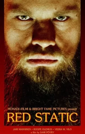 普奈宁科希纳海报