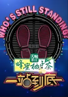 一站到底2017海报