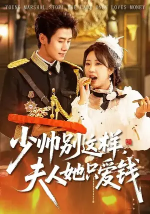 少帅别这样,夫人她只爱钱海报