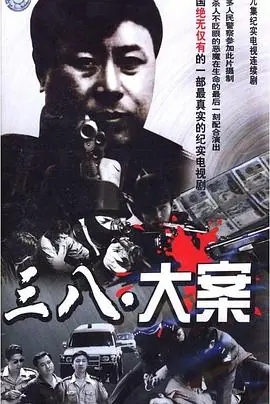 沈阳三八大案侦破纪实海报