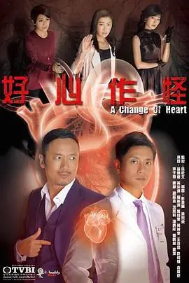 好心作怪2013(国语)海报