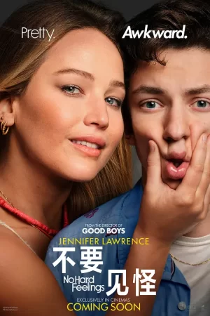 不要见怪[影视解说]海报