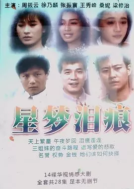 星梦泪痕海报