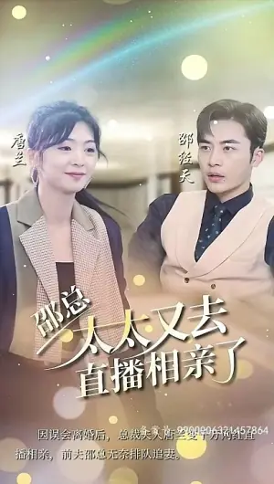 邵总,太太又去直播相亲了海报