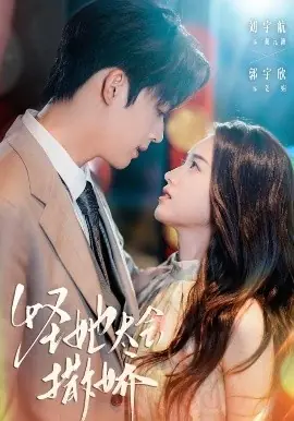 怪她太会撒娇海报