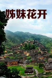 姊妹花开海报