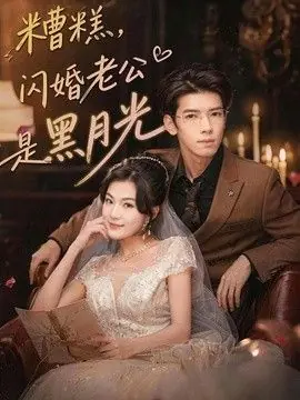 糟糕,闪婚老公是黑月光海报