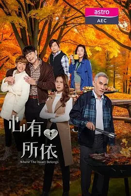 心有所依海报