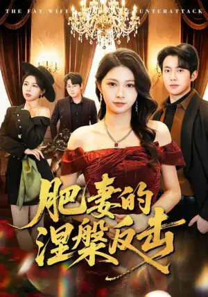 肥妻的涅槃反击海报