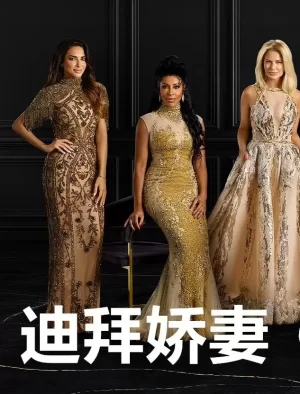 迪拜娇妻第一季海报