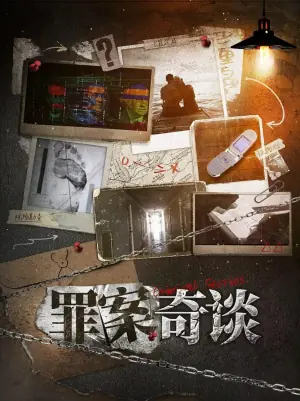 罪案奇谈海报