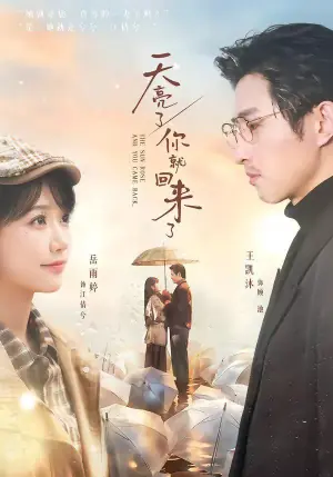 天亮了,你就回来了海报