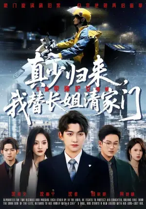 真少归来,我替长姐清家门海报