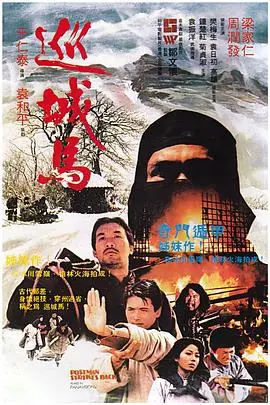 巡城马(国语)海报