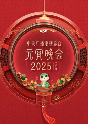 2025年中央广播电视总台元宵晚会海报