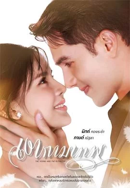 新爱神之影海报