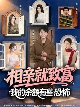 相亲就致富,我的余额有些恐怖海报