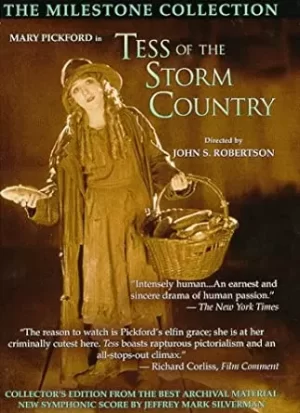 风暴之乡的苔丝海报