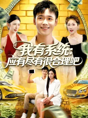 我有系统:应有尽有很合理吧海报