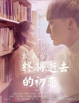 致我们终将逝去的初恋海报