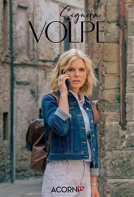 沃尔皮女士海报