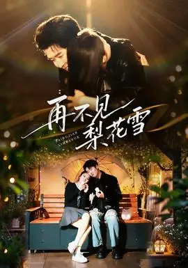 再不见梨花雪海报