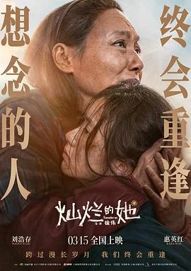 灿烂的季节海报