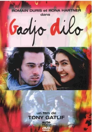 只爱陌生人海报