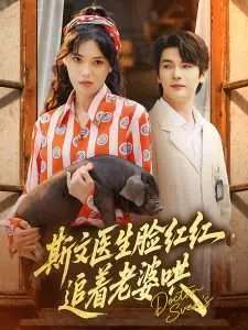 斯文医生脸红红,追着老婆哄海报