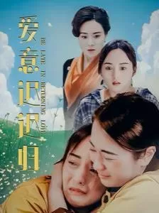 爱意迟迟归海报