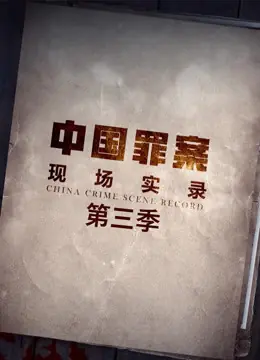 罪案现场实录第三季海报