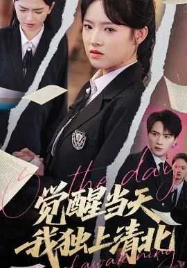 觉醒当天我独上清北海报