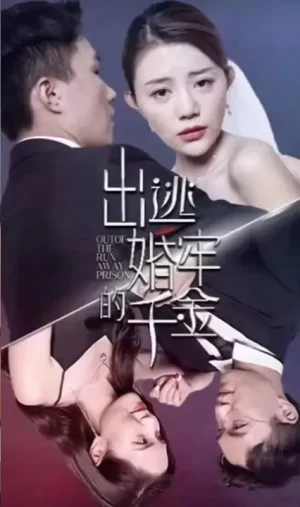 出逃婚牢的千金海报