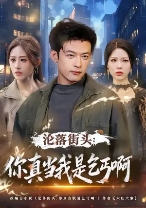 沦落街头:你真当我是乞丐啊海报